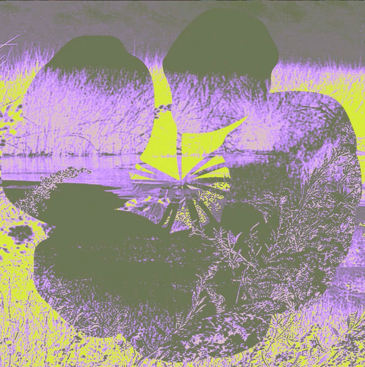 SWAMP is hiring an administrator