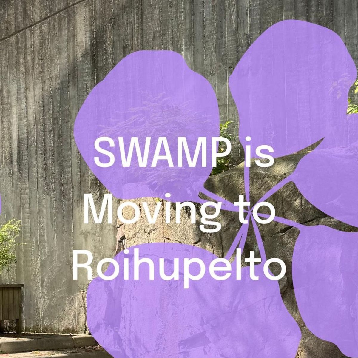 SWAMP is Moving To Roihupelto