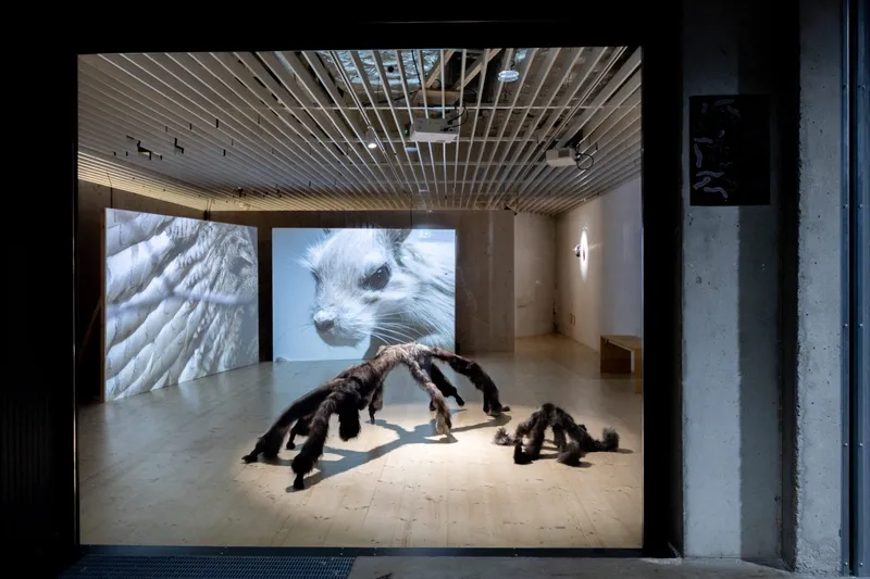 Paula Zvane, Fur creatures from tactile sensitivity searies : installation view from "compose decompose" show 2025. Photo by Odie Lap Chun Chow